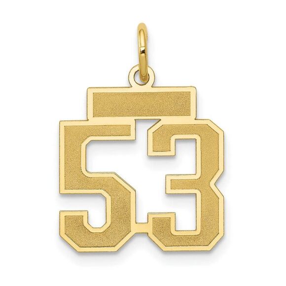 14k Yellow Gold, Jersey Collection, Small Number 53 Pendant - Picture 1 of 4